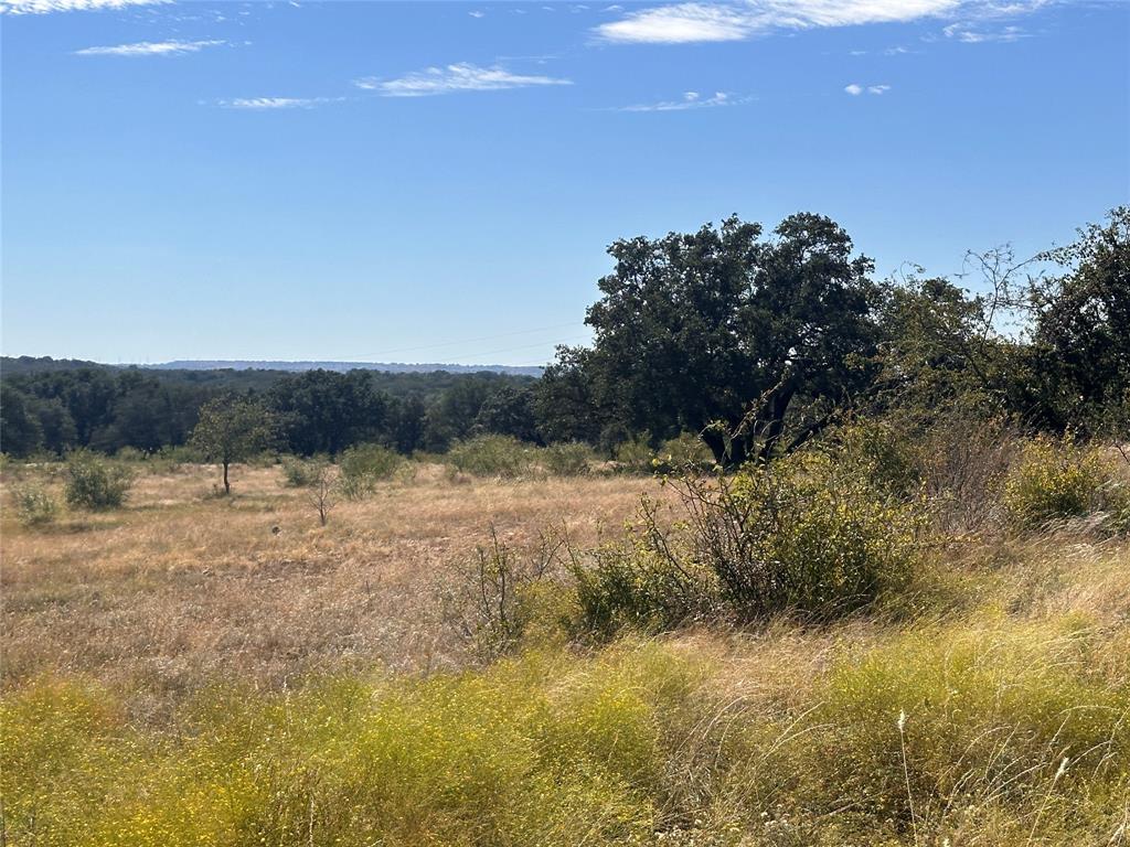 Tbd Lot 24 Tbd Drive Gustine, TX 76455 - Photo 7 of 15