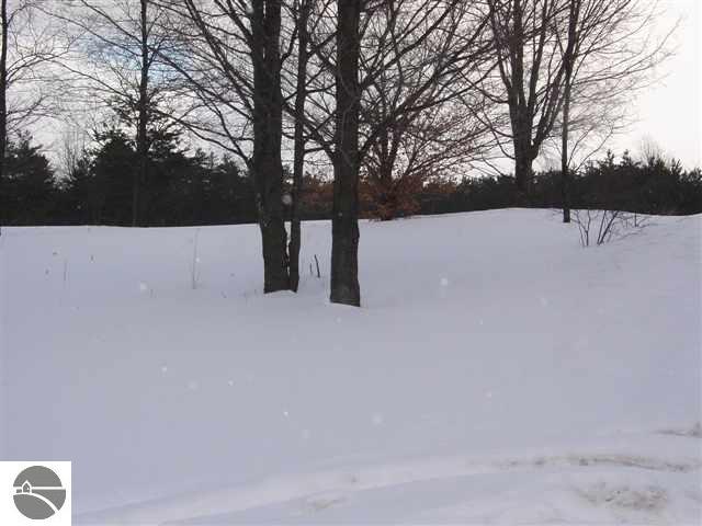 4679 North 27 Road Mesick, MI 49668 - Photo 23 of 25 1723527-22.JPG