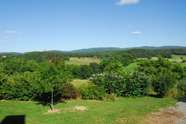123 Bogg's Road Frankford, WV 24938 - Photo 4 of 11 Gallery Image 4
