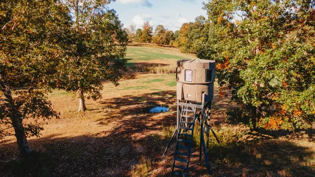 a view of a yard with trees in the background