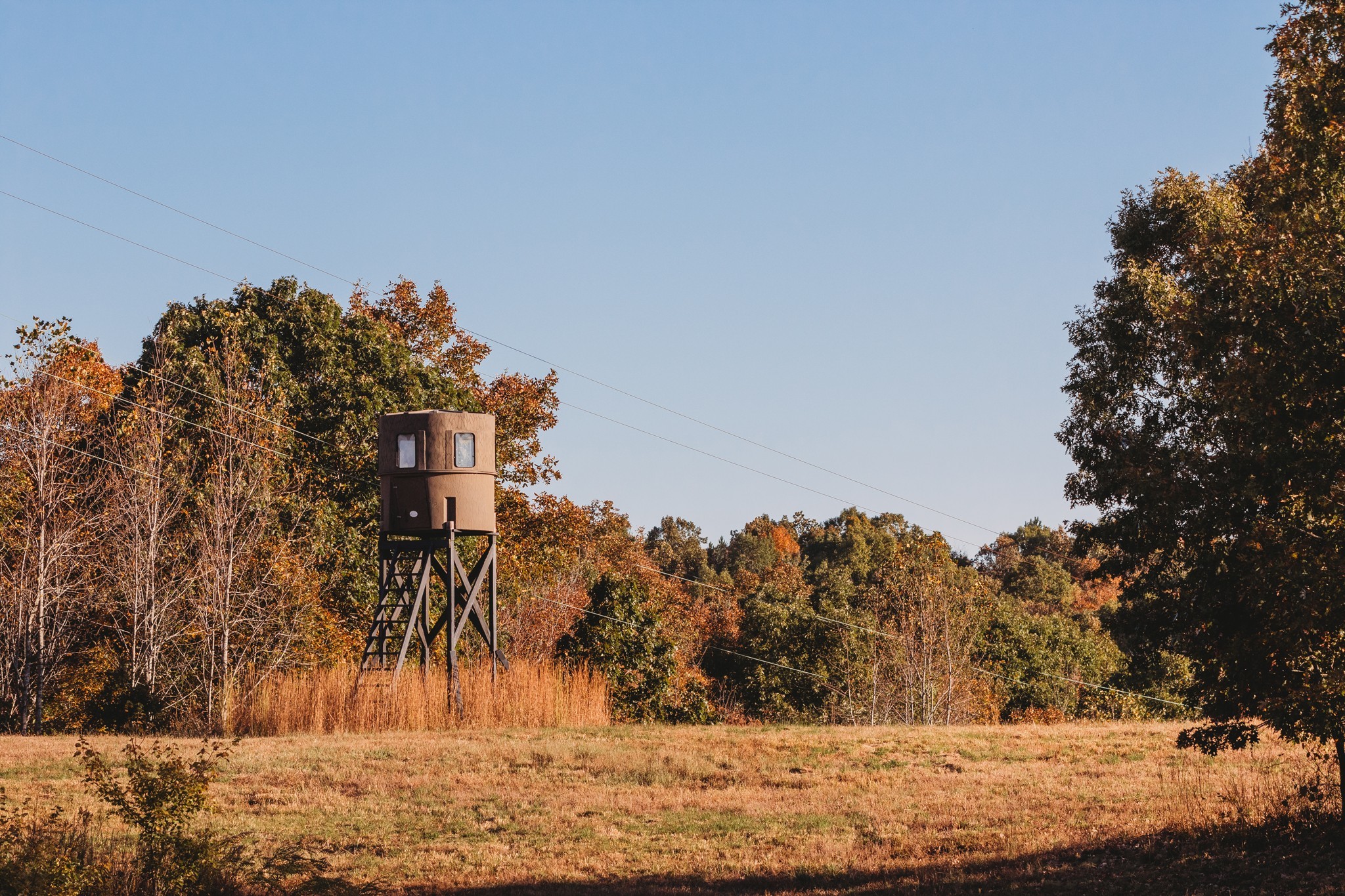 0 Scepter Road Waverly, TN 37185 - Photo 35 of 53 a view of a yard