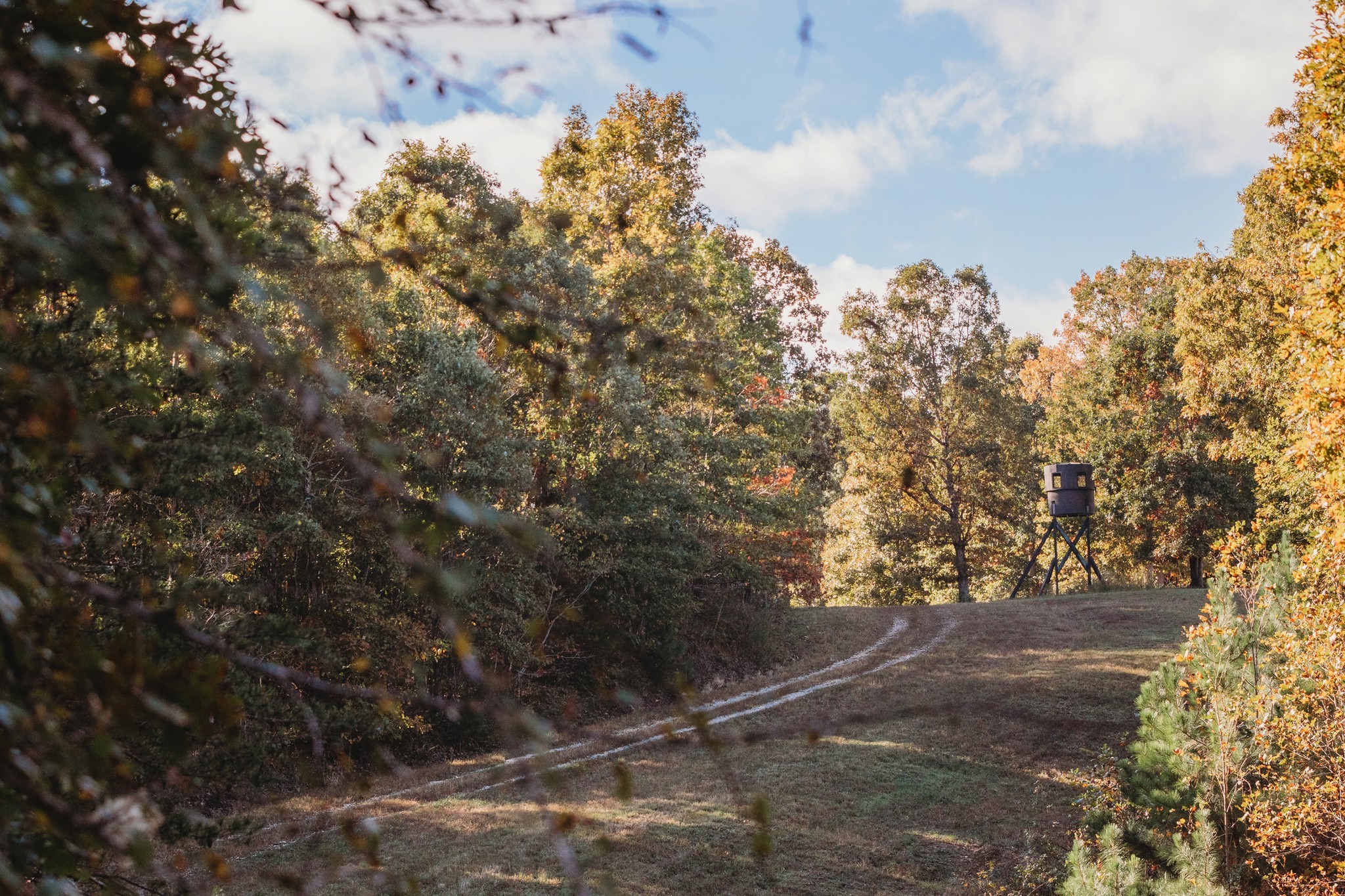 0 Scepter Road Waverly, TN 37185 - Photo 37 of 53