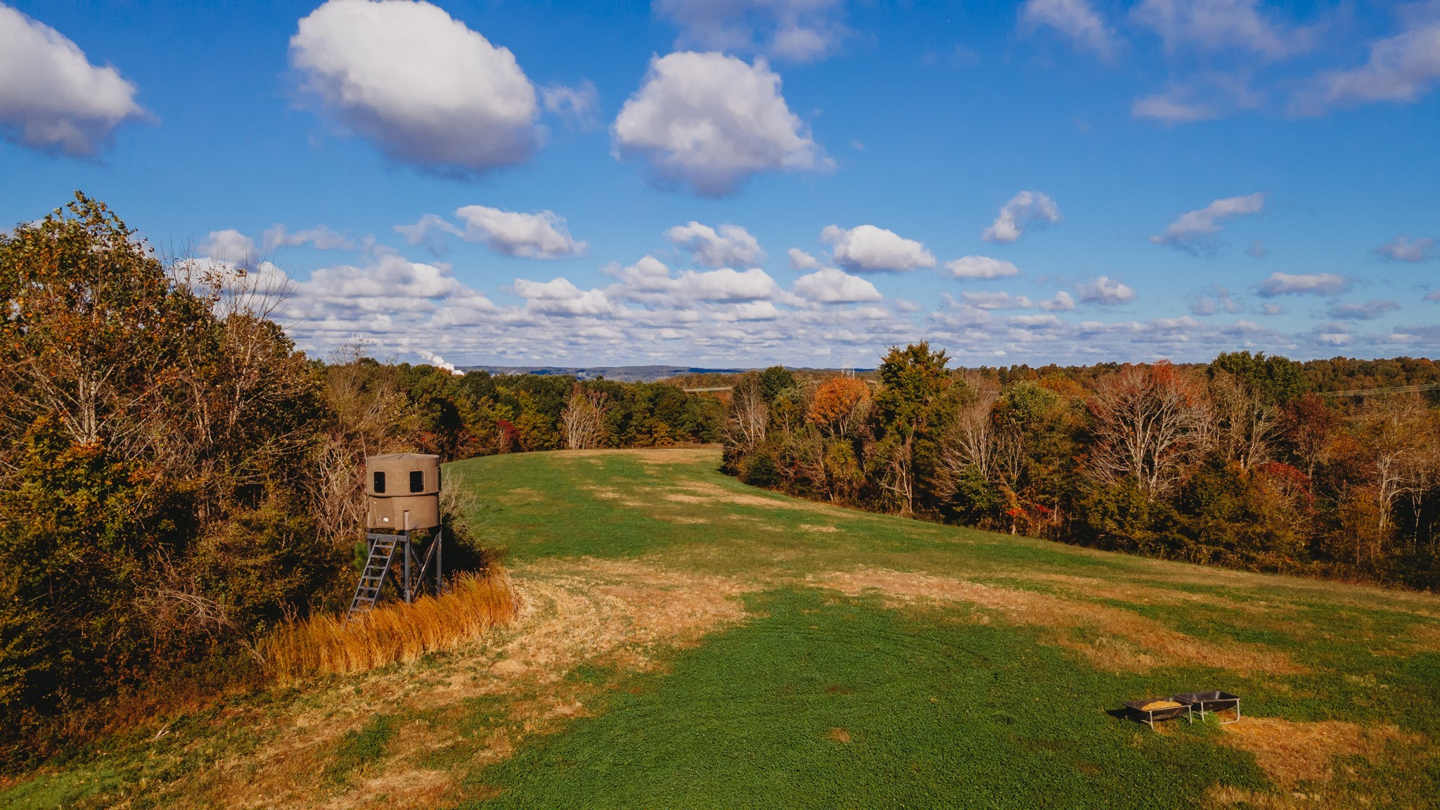 0 Scepter Road Waverly, TN 37185 - Photo 45 of 53 a view of a golf course with a tree