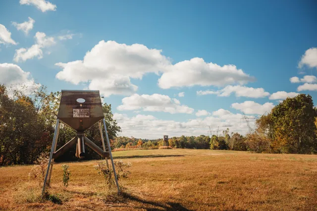 a view of a dry yard