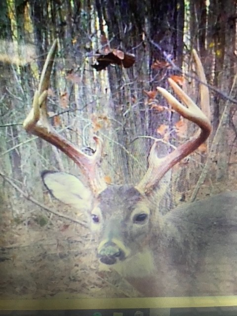 0 Scepter Road Waverly, TN 37185 - Photo 47 of 53 a view of water heater