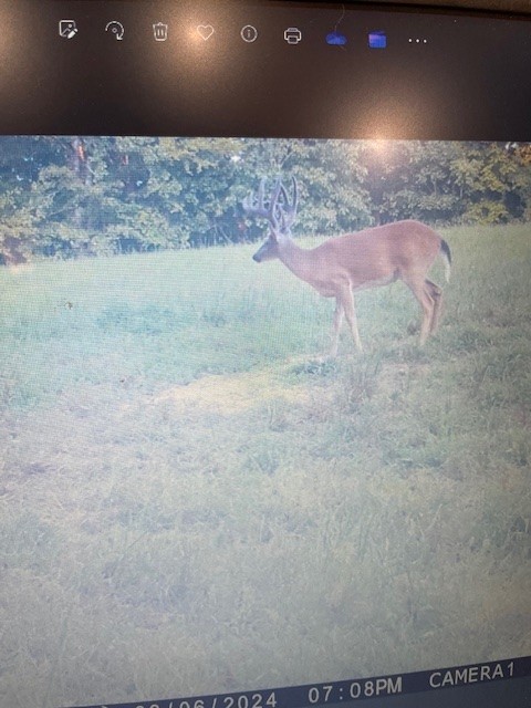 0 Scepter Road Waverly, TN 37185 - Photo 49 of 53 a view of a dry yard