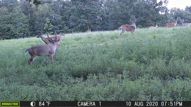 a view of a lake with outdoor space