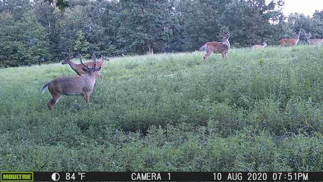 0 Scepter Road Waverly, TN 37185 - Photo 50 of 53 a view of a outdoor space