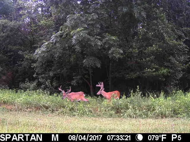 $4,250,000 | 0 Scepter Road, Waverly, TN 37185