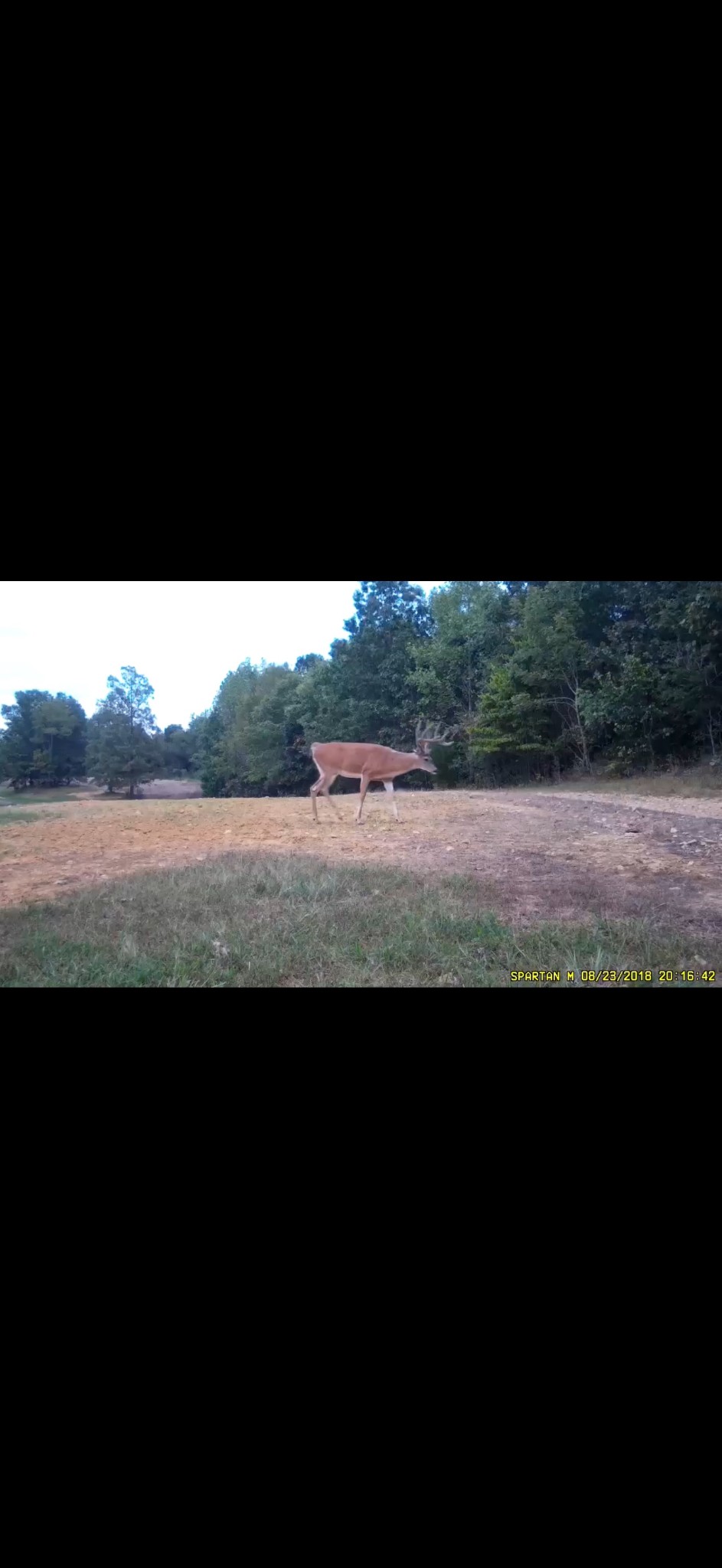 0 Scepter Road Waverly, TN 37185 - Photo 53 of 53 a view of a lake with outdoor space
