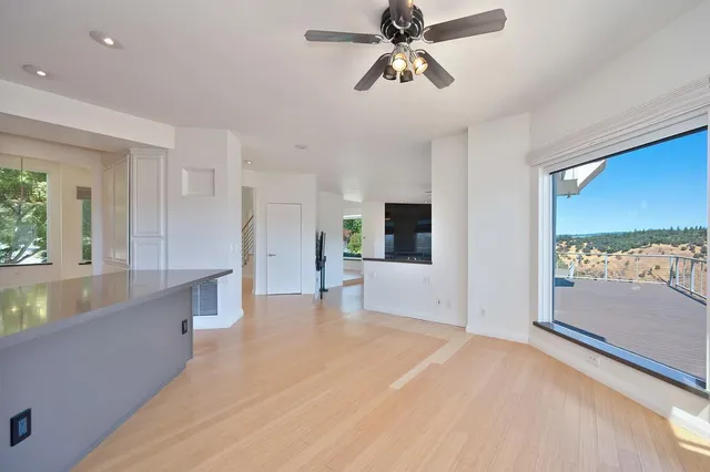 a view of a tree in the middle of a yard