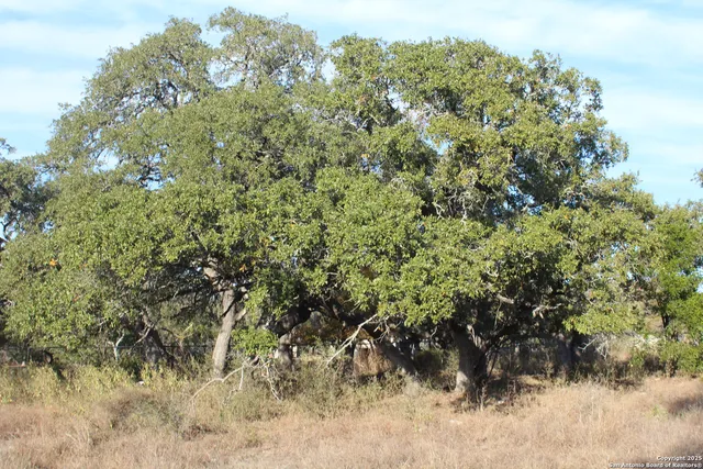 $138,000 | 576 Private Road 3702, San Antonio, TX 78253