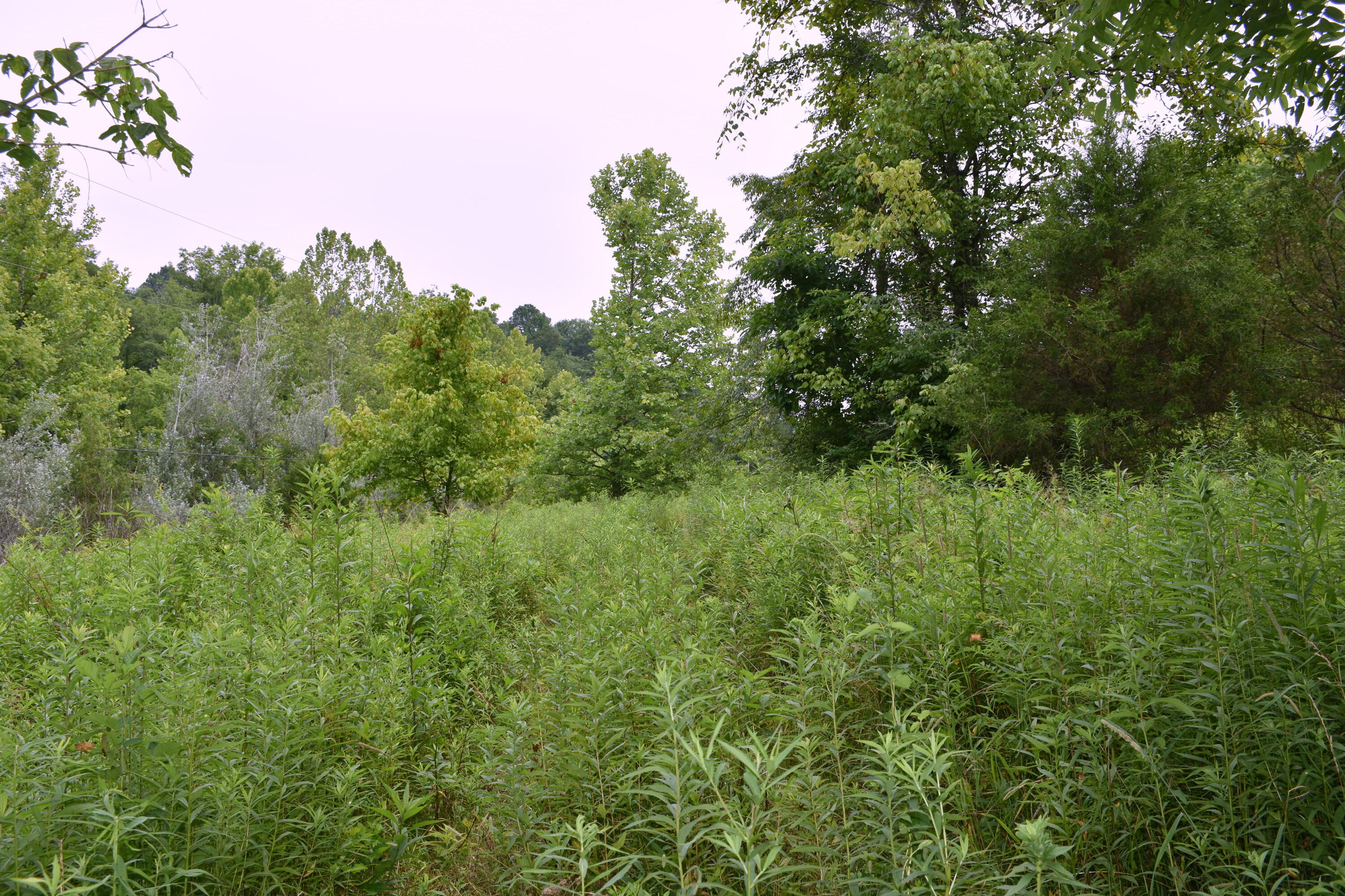 1540 Snag Creek Road Foster, KY 41043 - Photo 5 of 11