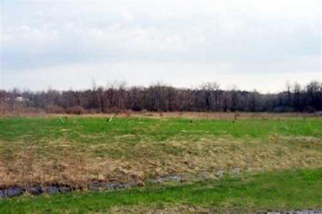 13+ BEAUTIFUL ACRES!