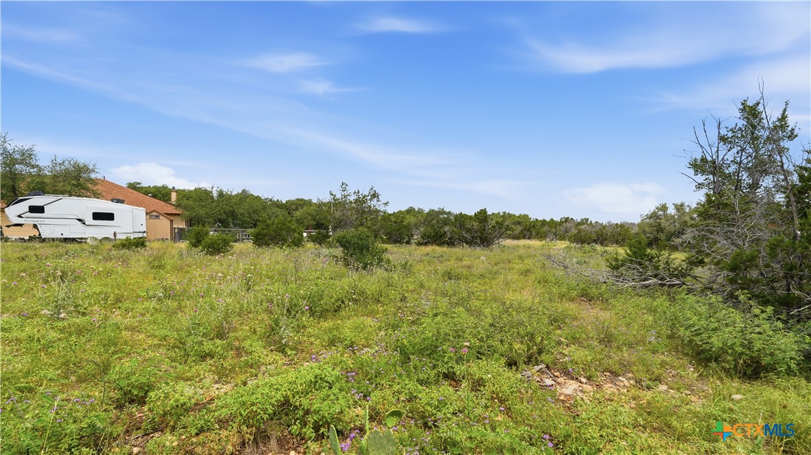 847 Hilltop Ridge New Braunfels, TX 78132 - Photo 23 of 47