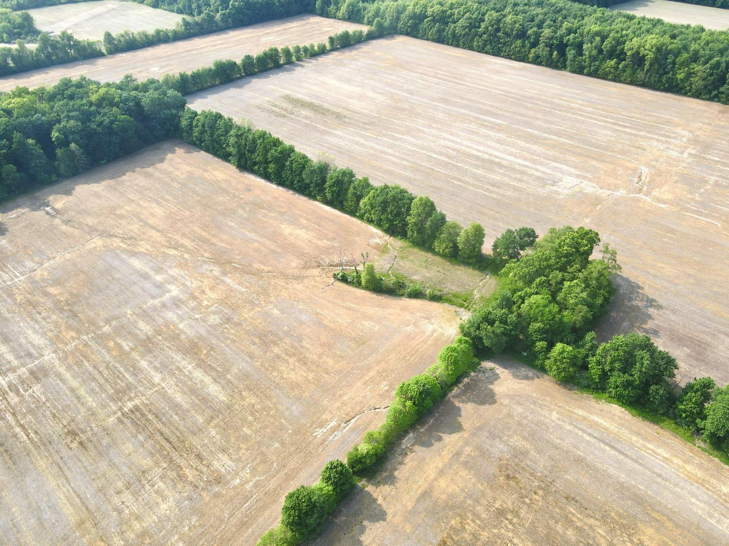 Acres Moore Road Bethel, OH 45106 - Photo 24 of 33 Gallery Image 24