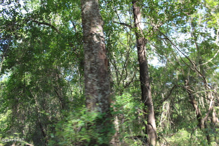 Xxx Wester Road Grand Ridge, FL 32442 - Photo 4 of 7 Gallery Image 4