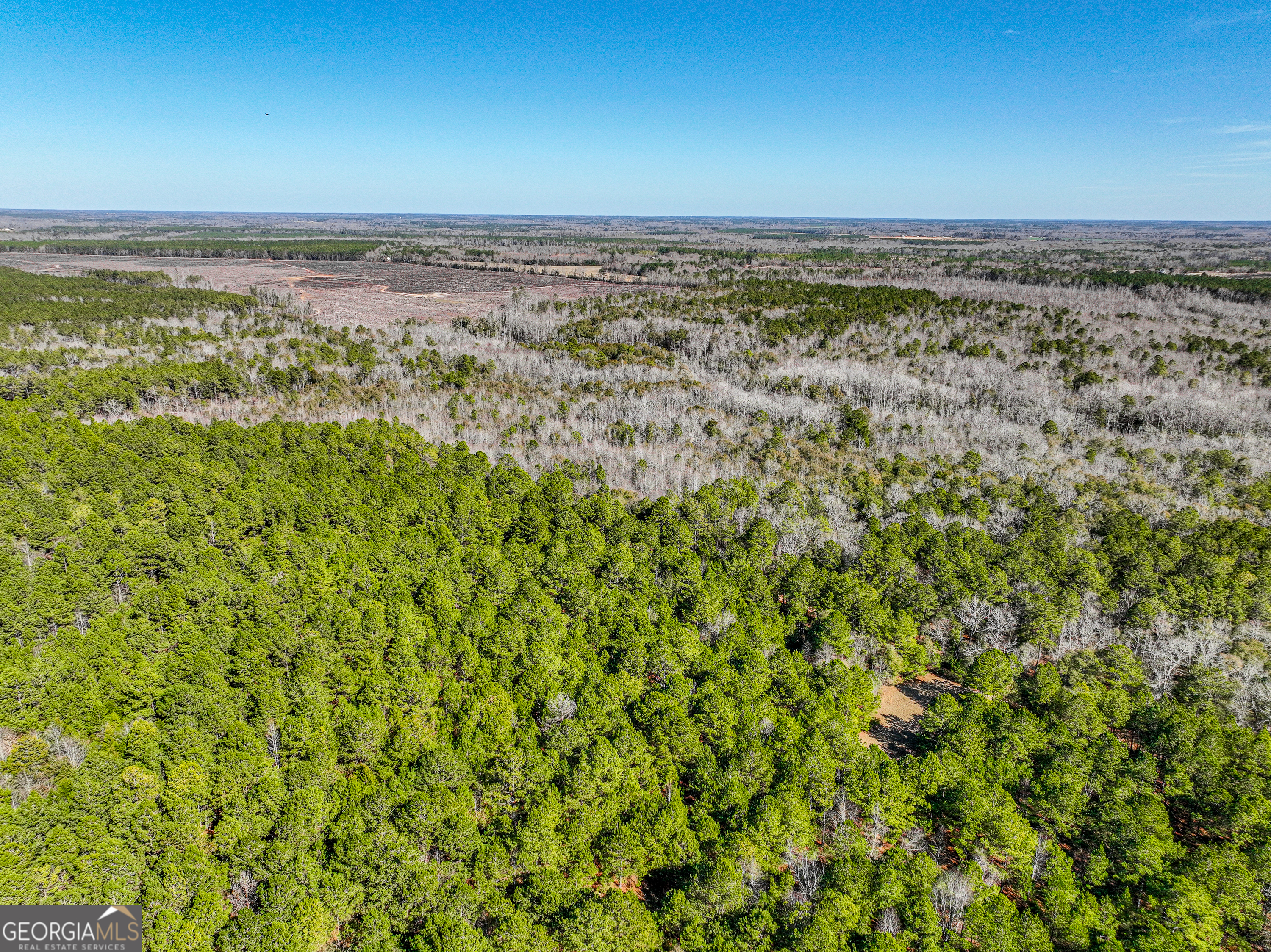 0 Buckeye Road Tennille, GA 31089 - Photo 9 of 13