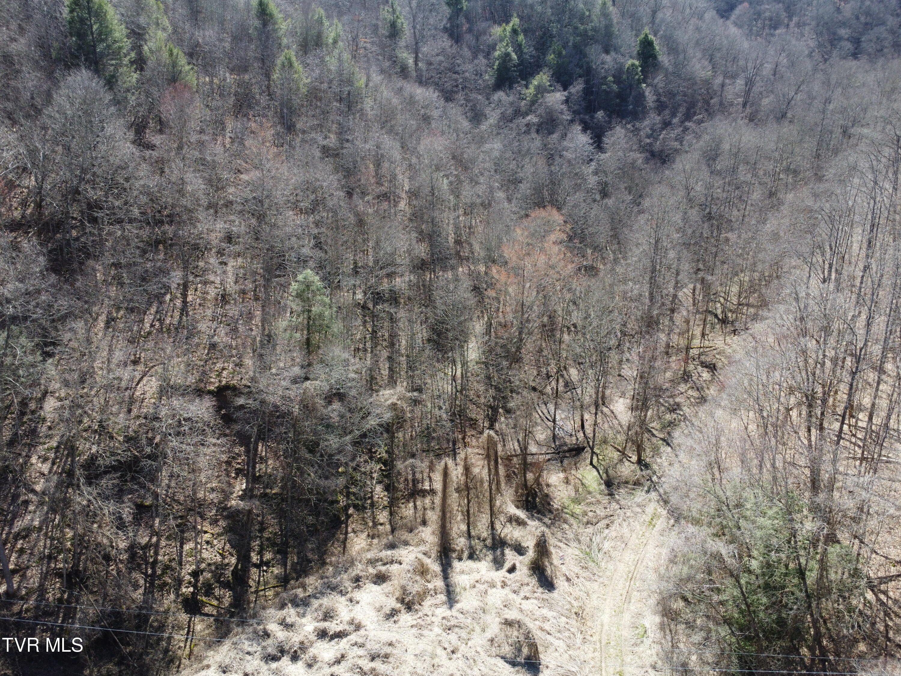 Tbd Bull Run Road Coeburn, VA 24230 - Photo 30 of 57 DJI_0595