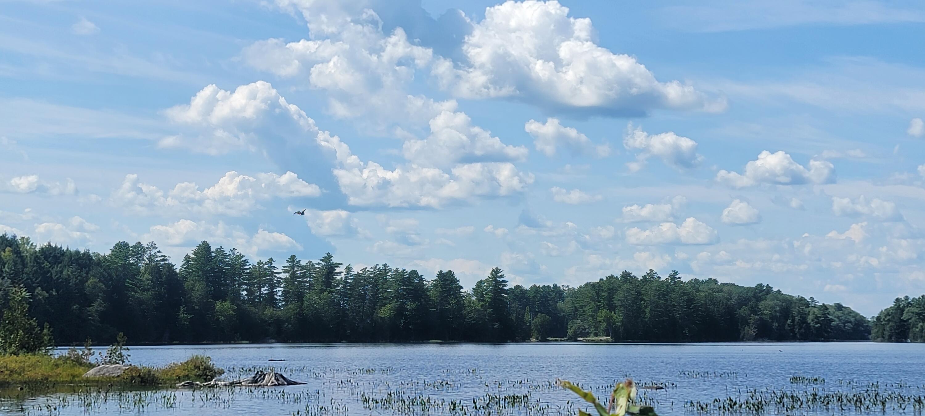 170 Wheaton Road Dover-Foxcroft, ME 04426 - Photo 18 of 25 20230824_132246
