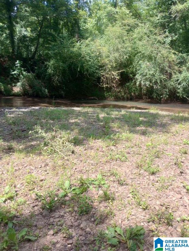 5100 Washington Valley Road, Unit PARCEL #1 Springville, AL 35146 - Photo 8 of 20