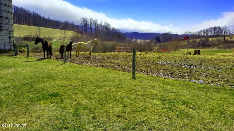 343 Old State Road Covington, PA 16917 - Photo 26 of 30 126899-27