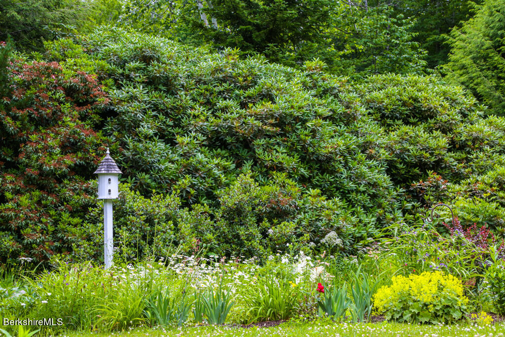 544 Tunnel Road Rowe, MA 01367 - Photo 11 of 32 a backyard of a house with lots of plants and white walls