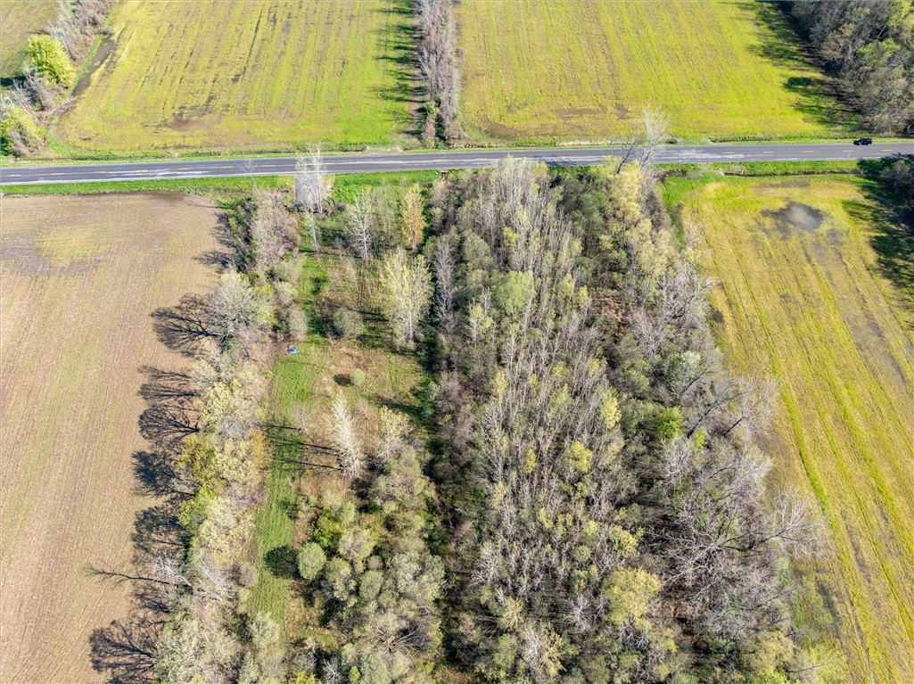 16126 Telegraph Road Murray, NY 14470 - Photo 6 of 50