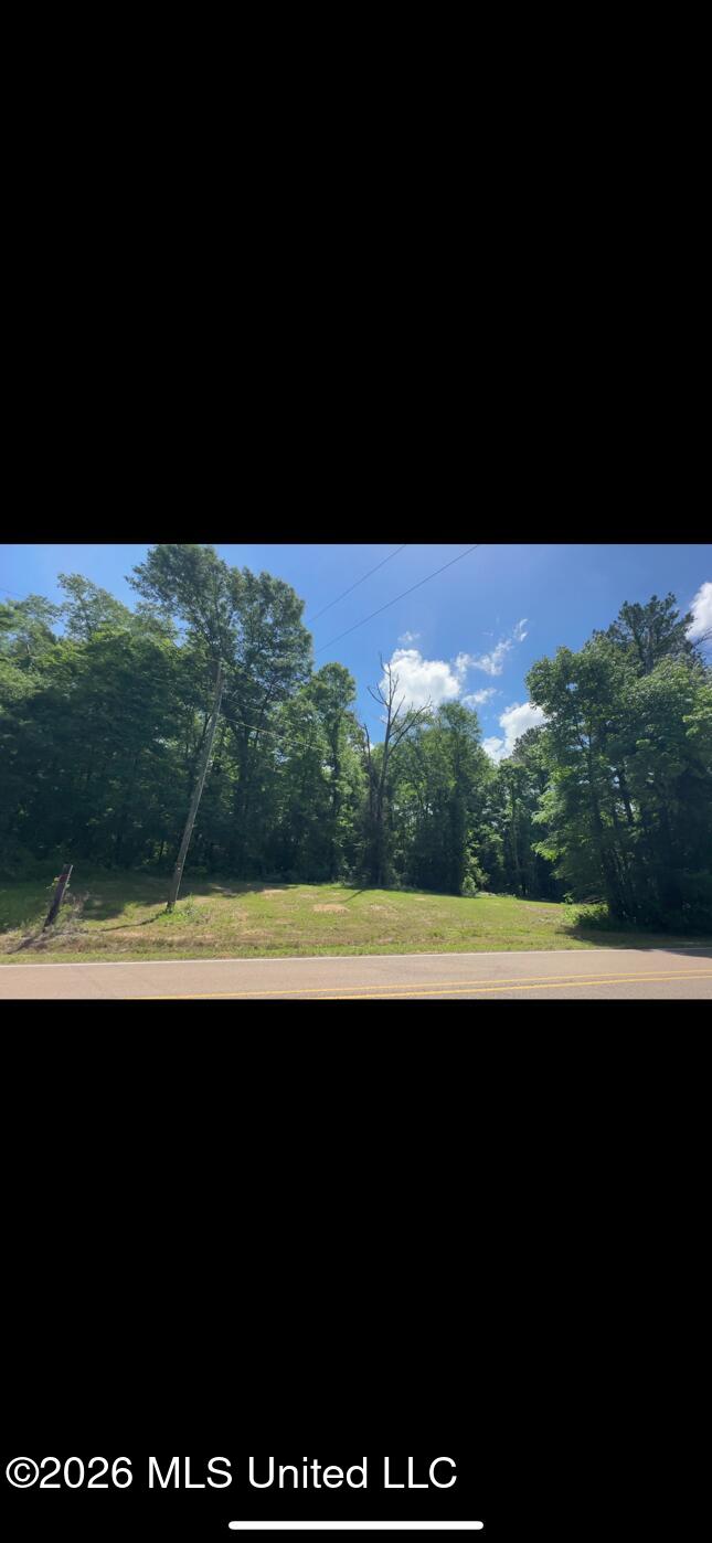 Noblin Bridge Road Pelahatchie, MS 39145 - Photo 3 of 10 ShanePelahatchie1Woods