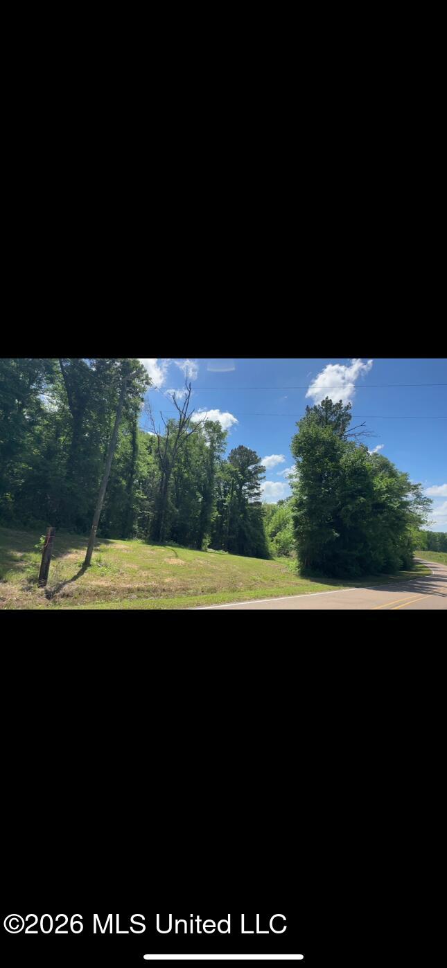 Noblin Bridge Road Pelahatchie, MS 39145 - Photo 4 of 10 ShanePelahatchieWoods2