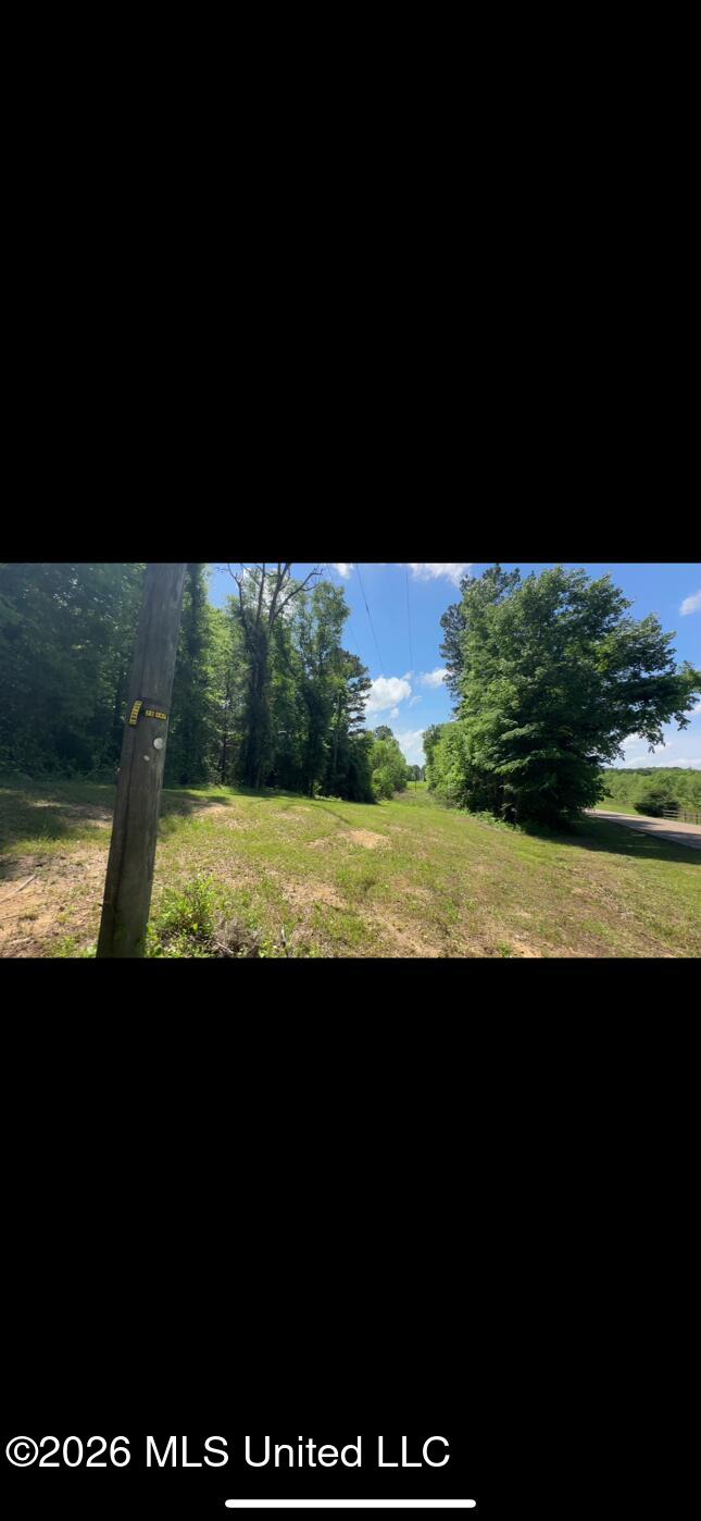 Noblin Bridge Road Pelahatchie, MS 39145 - Photo 5 of 10 ShanePelahatchieSWoods3