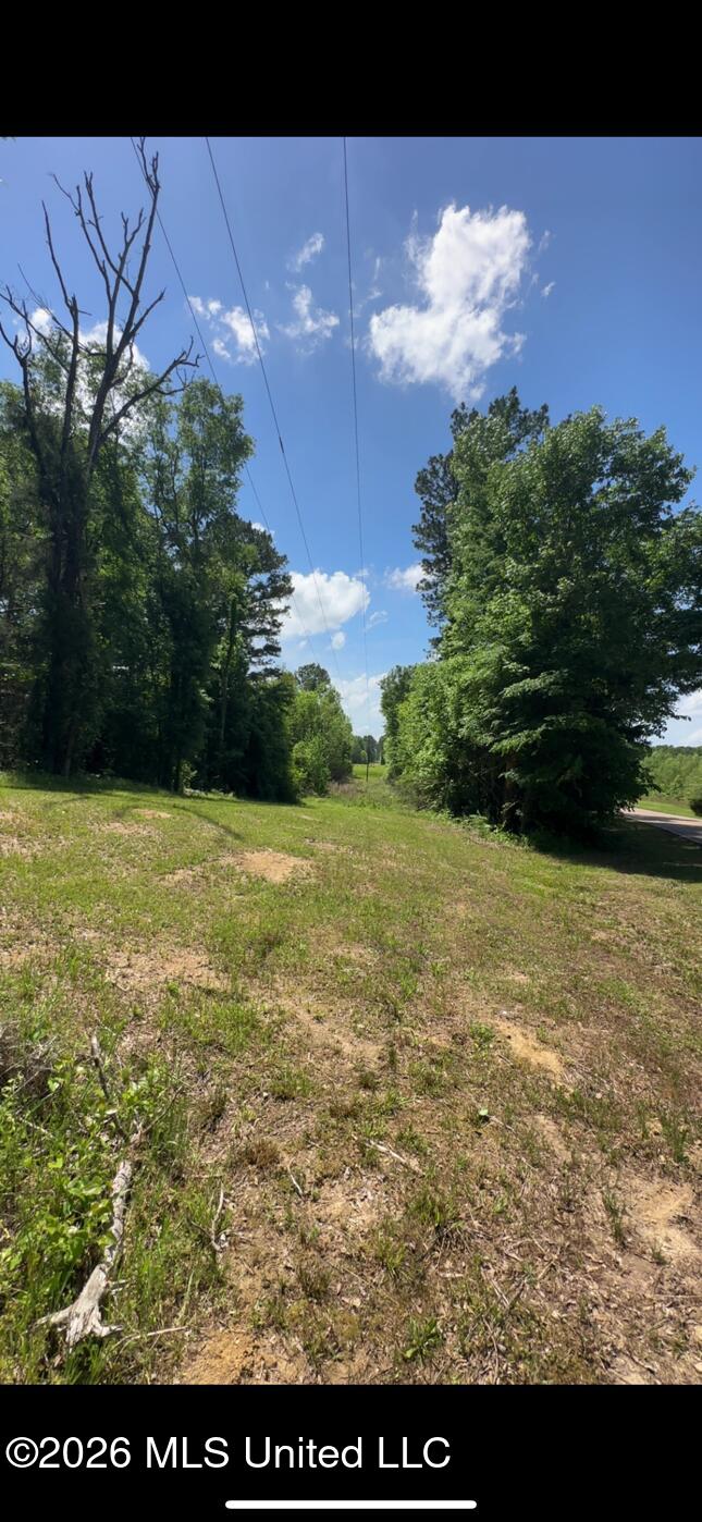 Noblin Bridge Road Pelahatchie, MS 39145 - Photo 6 of 10 ShanePelahatchieWoods4