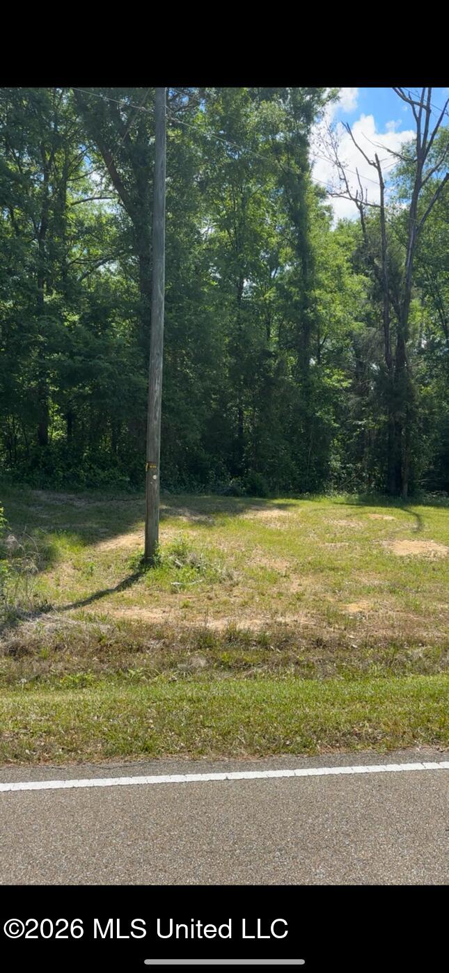 Noblin Bridge Road Pelahatchie, MS 39145 - Photo 7 of 10 ShanePelahatchieWoods5