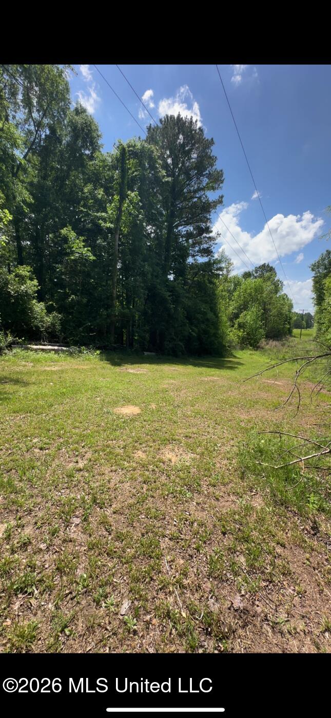 Noblin Bridge Road Pelahatchie, MS 39145 - Photo 8 of 10 ShanePelahatchieWoods6