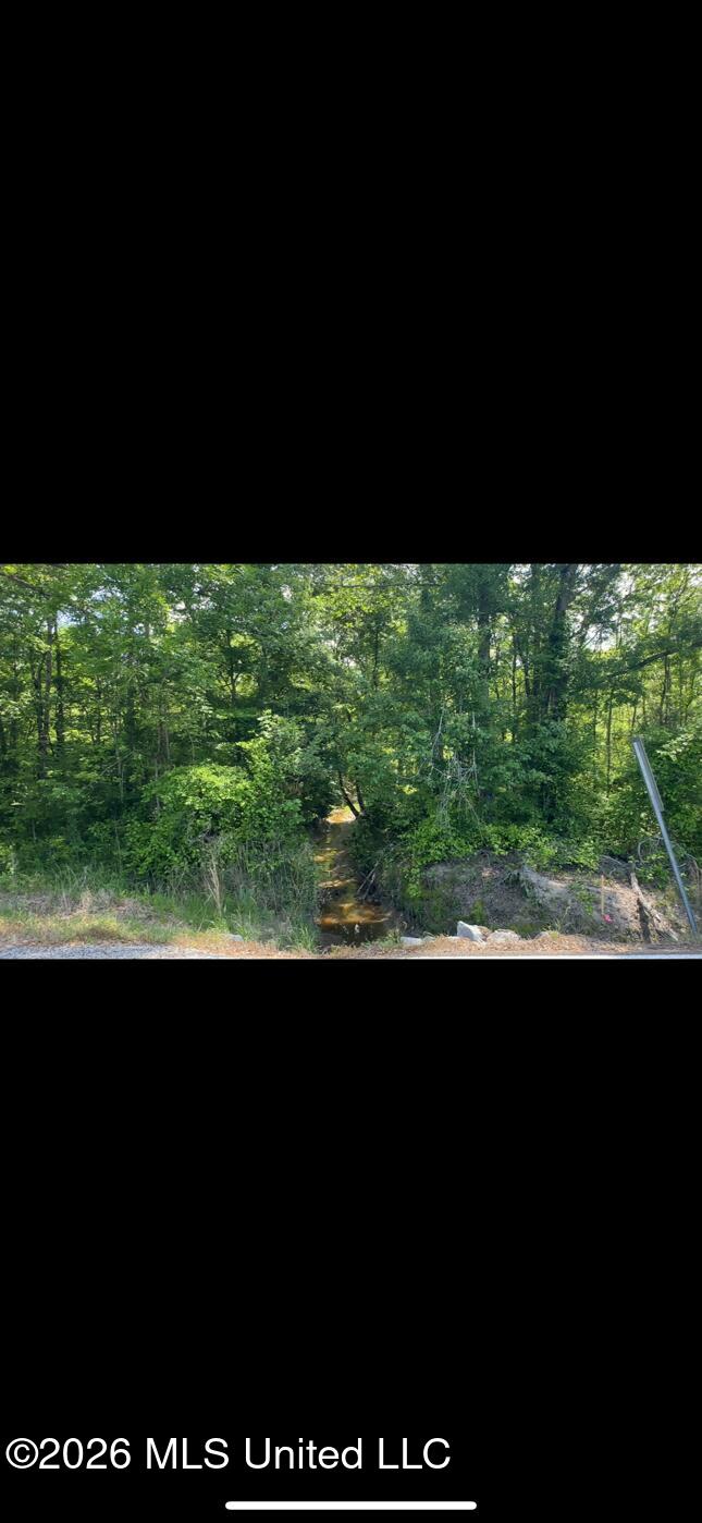 Noblin Bridge Road Pelahatchie, MS 39145 - Photo 10 of 10 ShanePelahatchieWoods8