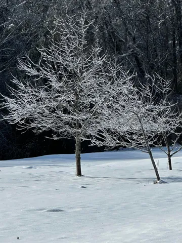 $379,000 | 65 Conway Road, Madison, NH 03849