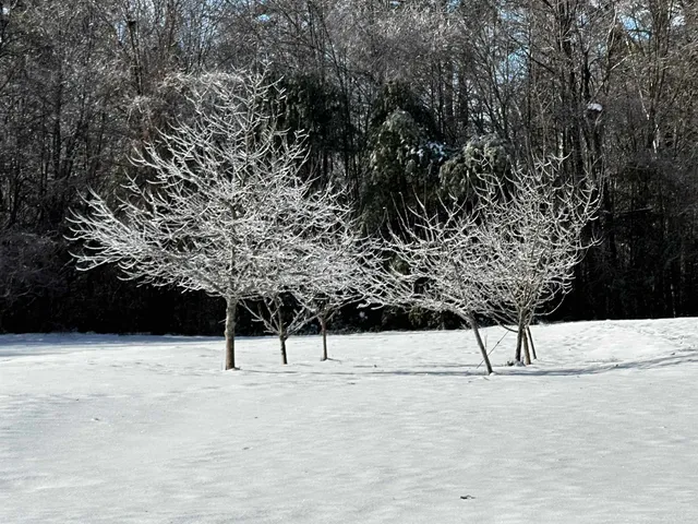 $379,000 | 65 Conway Road, Madison, NH 03849