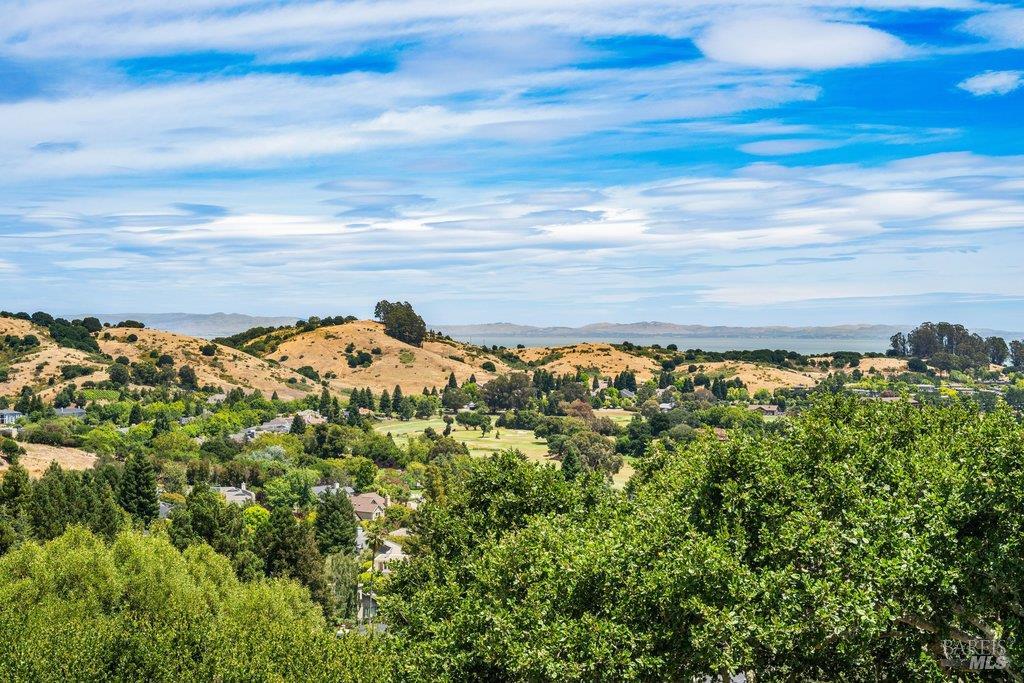 82 McNear Drive San Rafael, CA 94901 - Photo 8 of 54