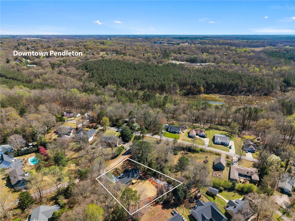 125 Cambridge Lane Pendleton, SC 29670 - Photo 22 of 22 This aerial perspective showcases a vibrant neighborhood and a captivating natural landscape.