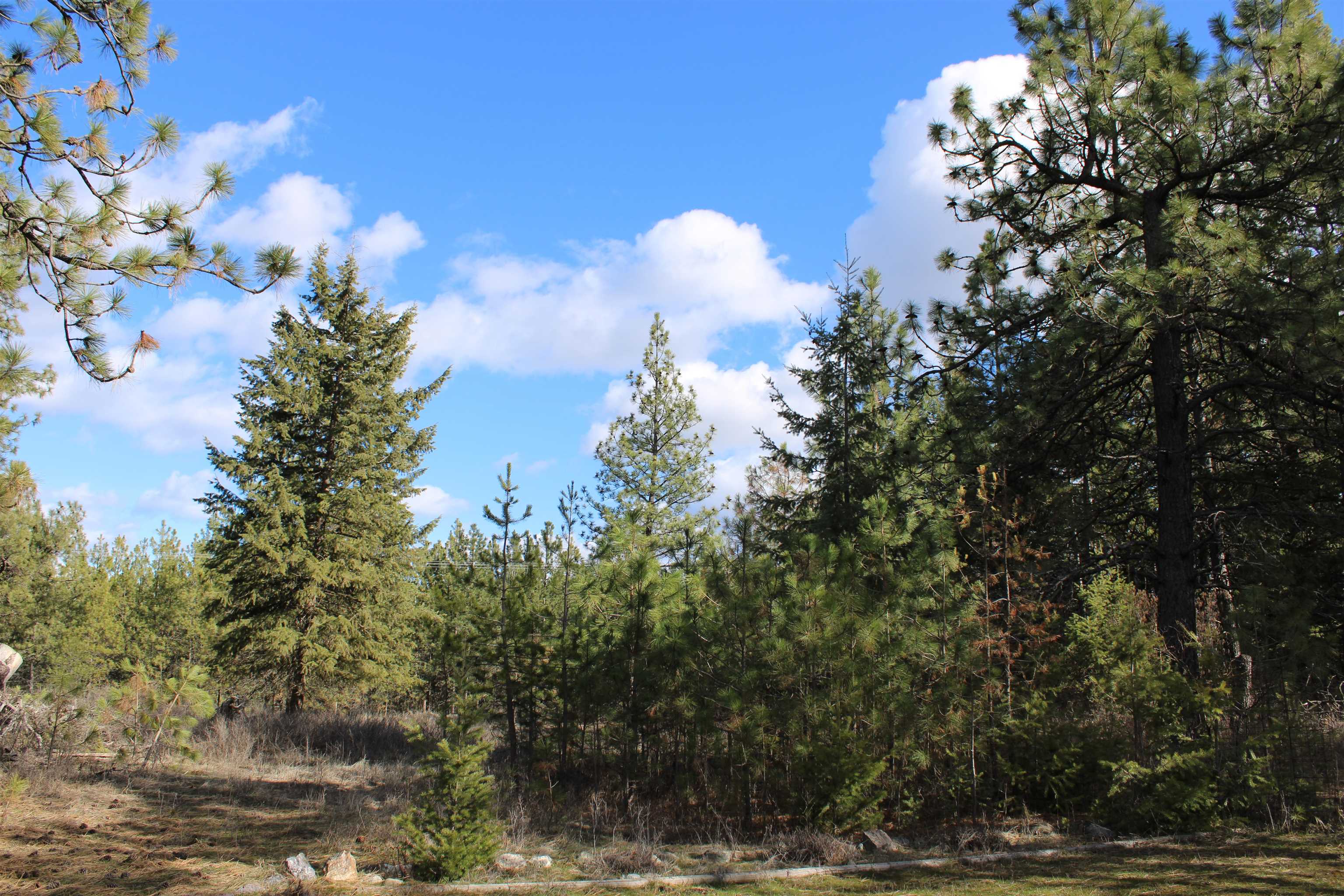 21 West Oregon Road Deer Park, WA 99006 - Photo 16 of 18