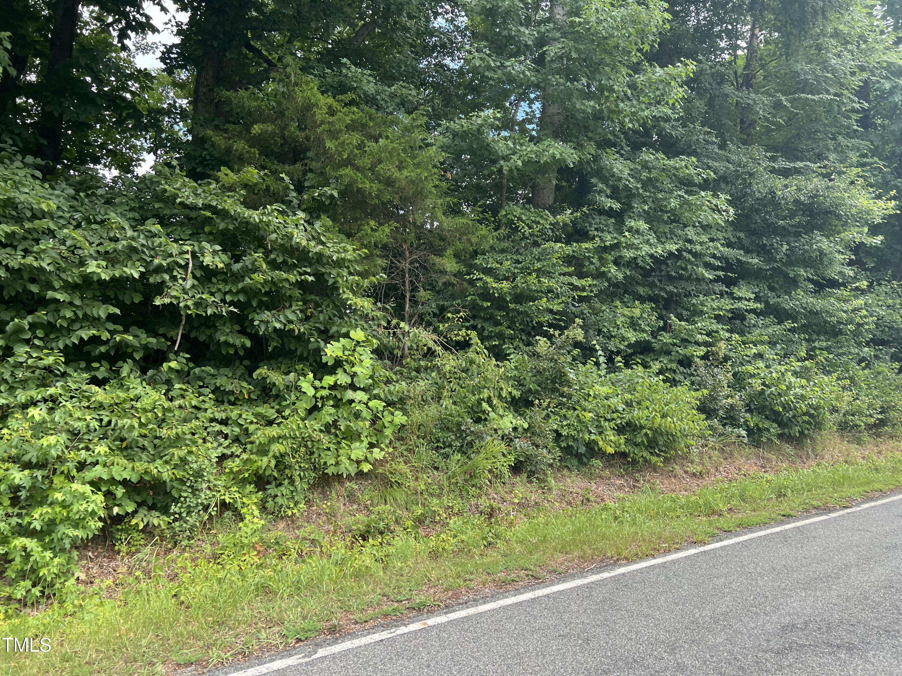 7167 Tickle Road Gibsonville, NC 27249 - Photo 2 of 2 IMG_5796