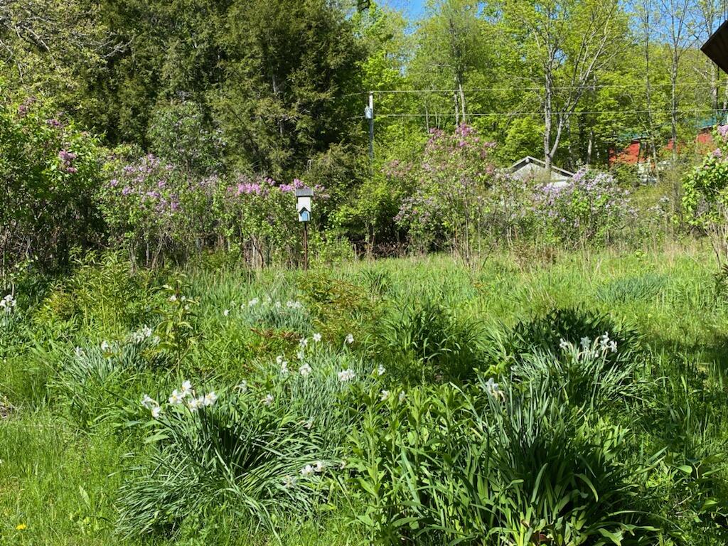 3 Garden Road Monroe, ME 04951 - Photo 45 of 67 5158225396136837460