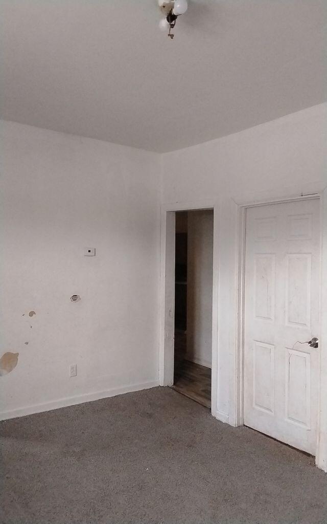 6307 Woodrow Street Detroit, MI 48210 - Photo 8 of 12 lower 1