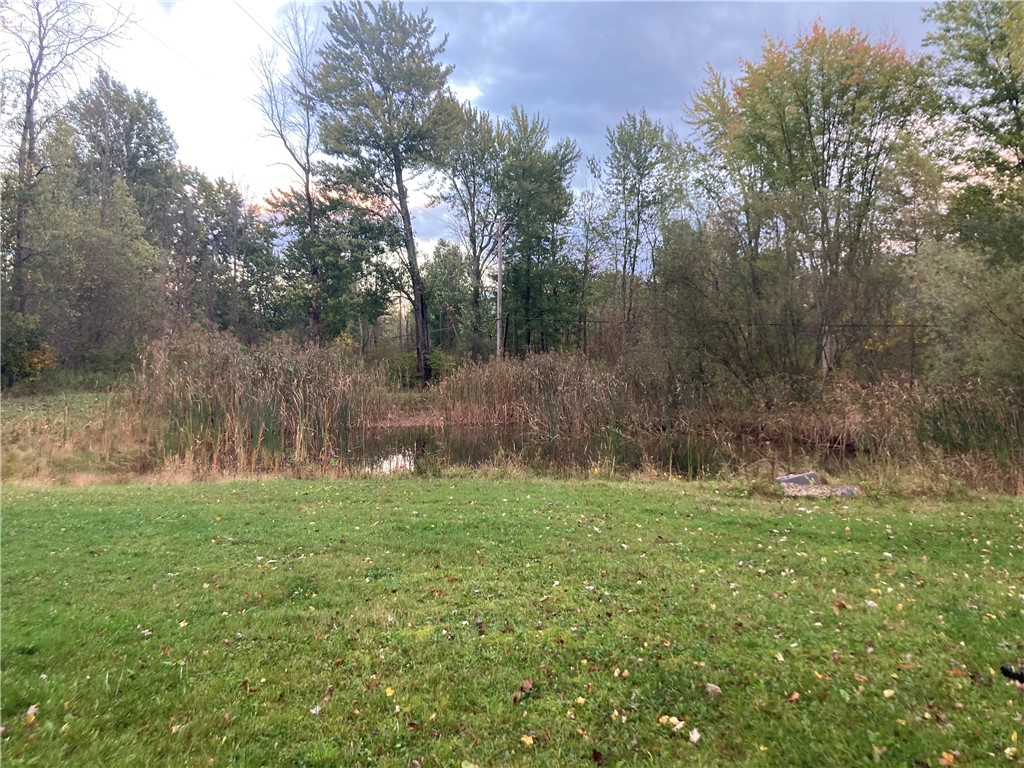 8751 West Canal Road Sweden, NY 14420 - Photo 34 of 35 Pond