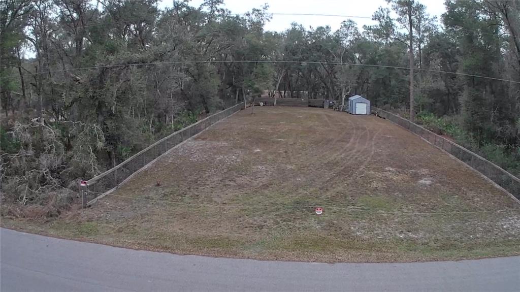 a view of a forest with trees in the background