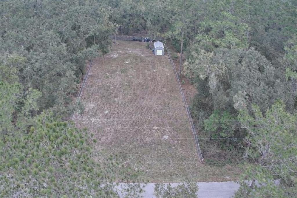 33469 August Avenue Webster, FL 33597 - Photo 2 of 5 a view of a dry yard with a tree