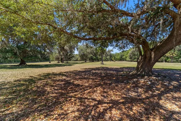 $2,000,000 | 20005 Northwest 135th Avenue, Micanopy, FL 32667
