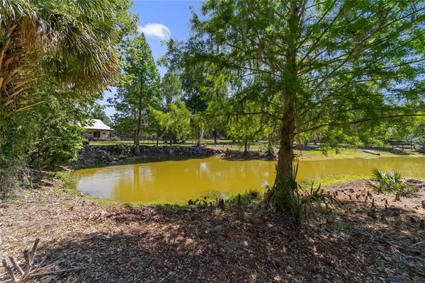 $2,000,000 | 20005 Northwest 135th Avenue, Micanopy, FL 32667