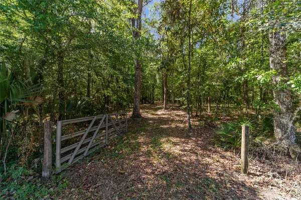 $2,000,000 | 20005 Northwest 135th Avenue, Micanopy, FL 32667