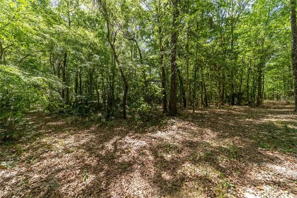 $2,000,000 | 20005 Northwest 135th Avenue, Micanopy, FL 32667